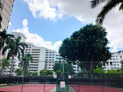 Windy Heights (D14), Condominium #555633241